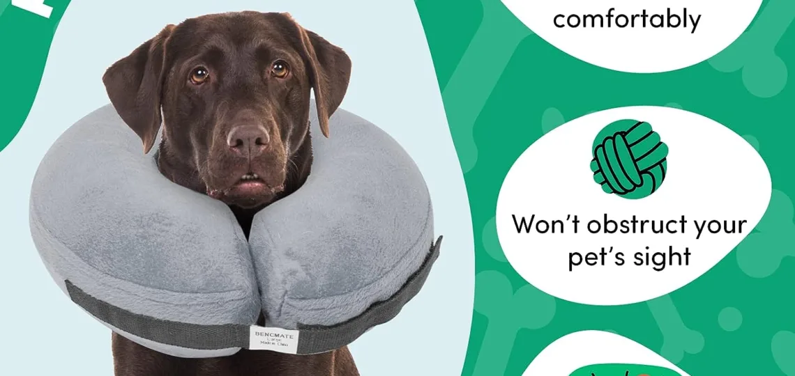 bencmate inflatable dog cone review