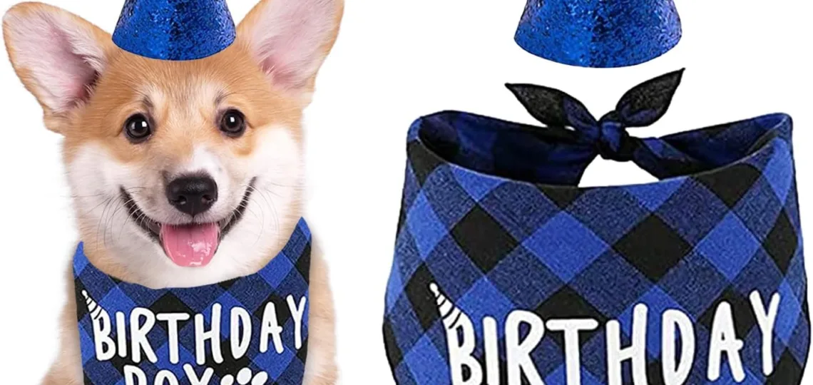 dog birthday bandana review