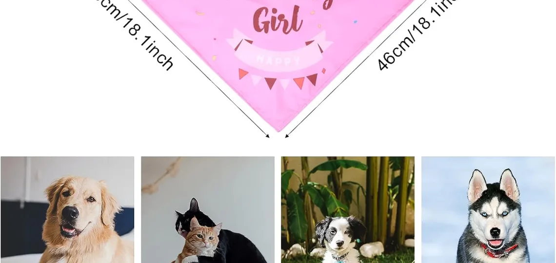 kinbom dog birthday bandana girl review