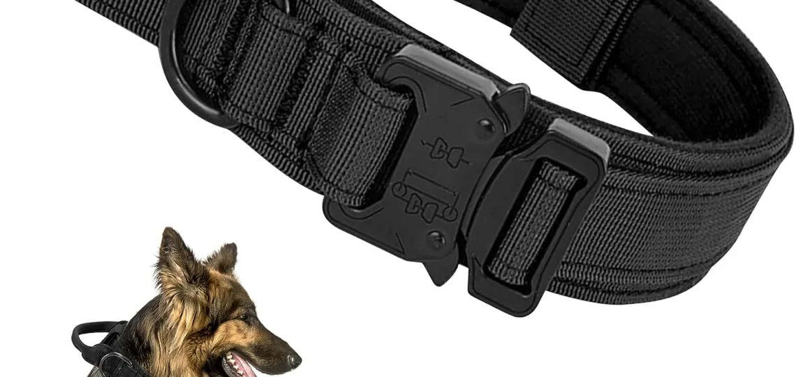 ledeak tactical dog collar review