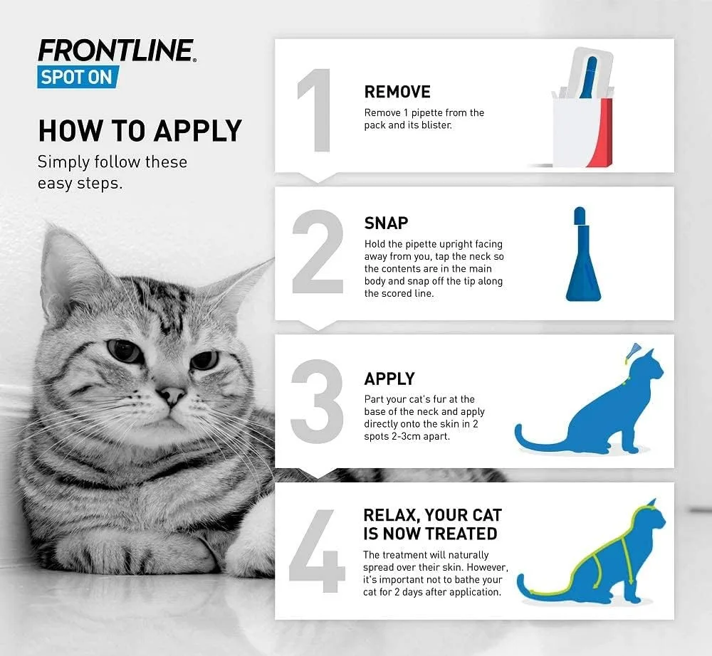 FRONTLINE Spot On Flea  Tick Treatment for Cats - 6 Pipettes (Pack of 1)